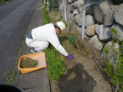 花壇マルチング工事