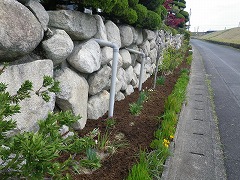 花壇マルチング工事