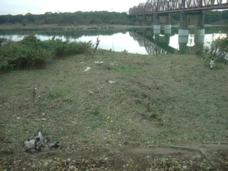 みなと公園上流除草